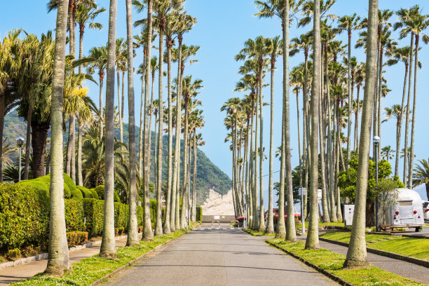 蓝天码头景观图片下载
