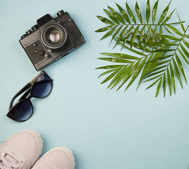 暑假和旅行，粉红色的运动鞋，相机和太阳镜在蓝色的背景上，绿色的棕榈叶和复印空间。图片下载