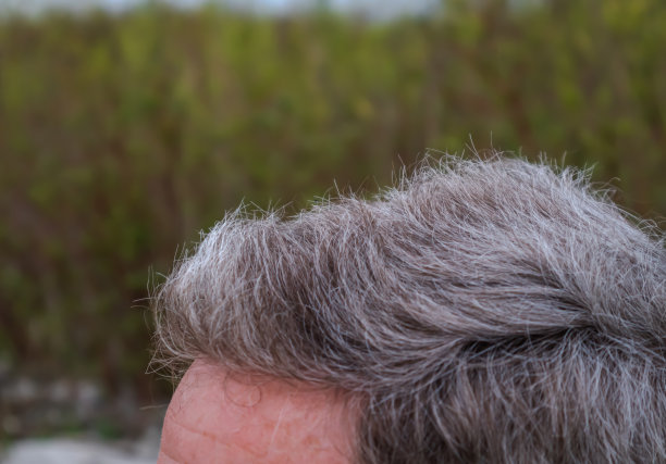 一个老年人在户外放松的灰色头发的特写视图图片下载