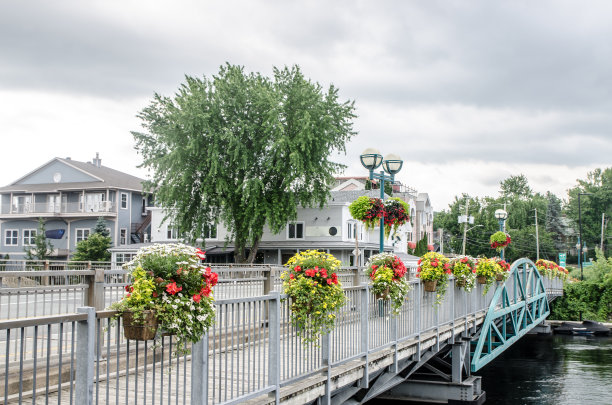 马各河上桥上的鲜花图片下载