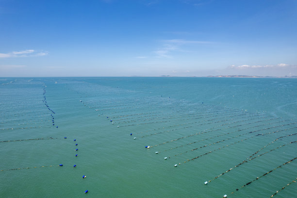 阳光明媚的日子里，水产养殖的绳索漂浮在清澈的海水上图片下载