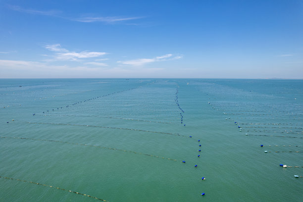 阳光明媚的日子里，水产养殖的绳索漂浮在清澈的海水上图片下载