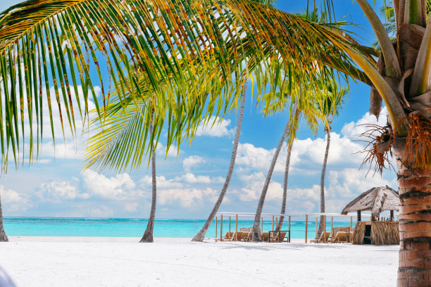 蓬塔卡纳的白色沙滩和绿松石般的大海，棕榈树和茅草屋顶小屋。图片下载