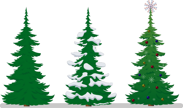 一套现实的绿色圣诞节图片下载