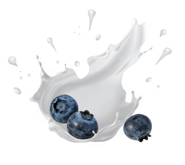 酸奶，牛奶，冰淇淋，蓝莓，蓝莓图片下载