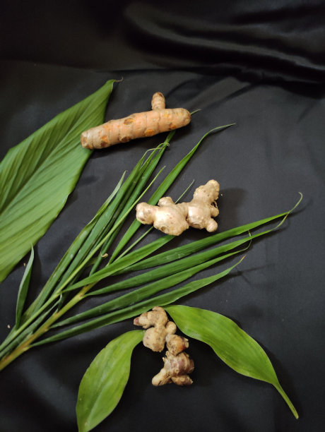 新鲜姜、姜黄和芳香姜，还有一些绿叶图片下载