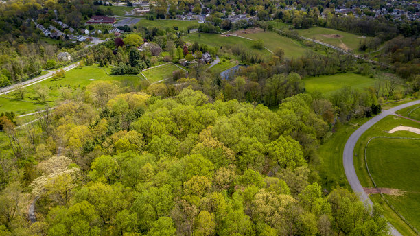 鸟瞰春天的树木，一条古老的铁路穿过它图片下载