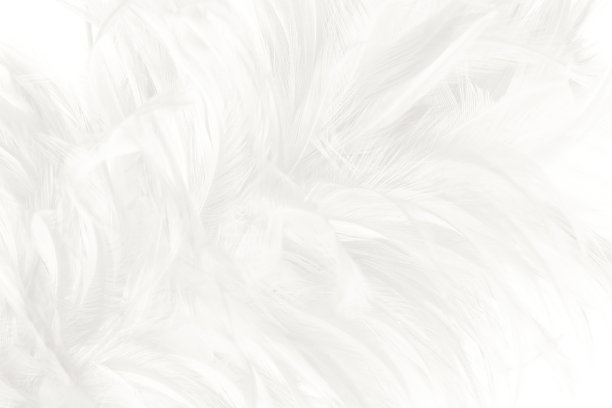白色羽毛毛茸茸的图案纹理背景图片下载