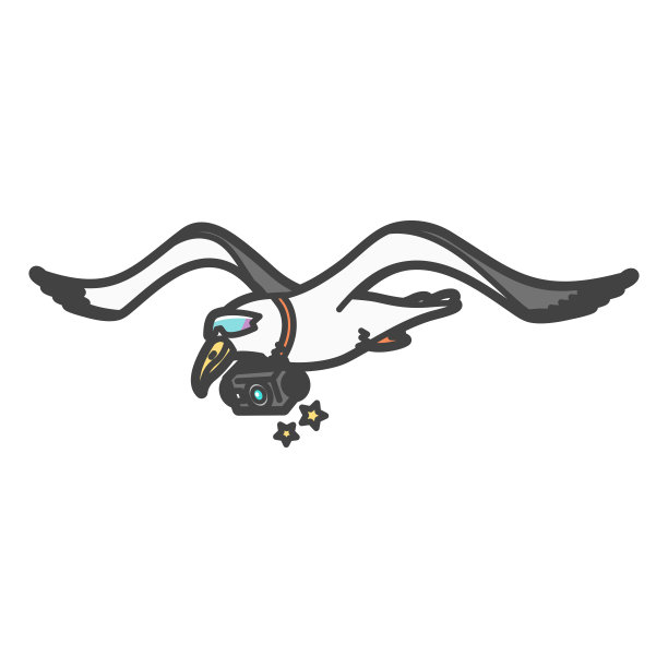 航拍/训练海鸥插图(JCAB/航空法不适用，替代无人机)图片下载