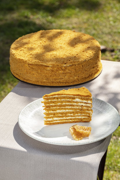 一块梅多维克蛋糕放在木桌上的一个轻陶瓷盘子上，旁边是一个完整的蛋糕。草地上的木桌上放着甜点。图片下载