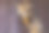 木墙上挂着干玉米。秋收概念。图片下载
