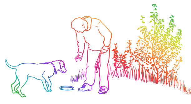 用彩虹飞盘训练狗图片下载