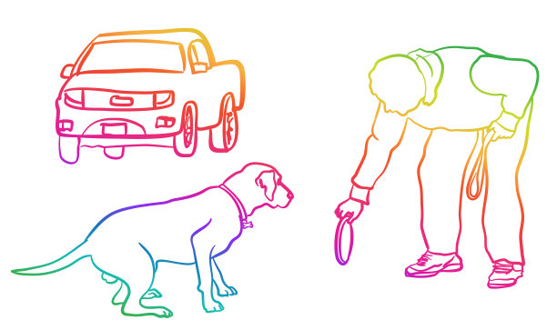 狗玩飞盘彩虹图片下载