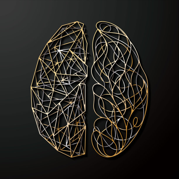 摘要人脑图片下载