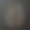 摘要人脑图片下载