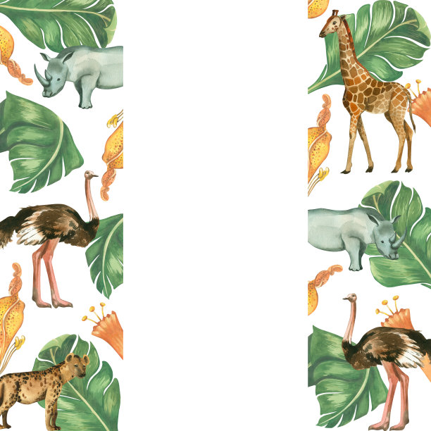水彩插图。白色背景上有非洲动物和树叶的长方形画框。所有的元素都是手写的。适用于织物、纸张、杂志、书籍、儿童印刷图片下载