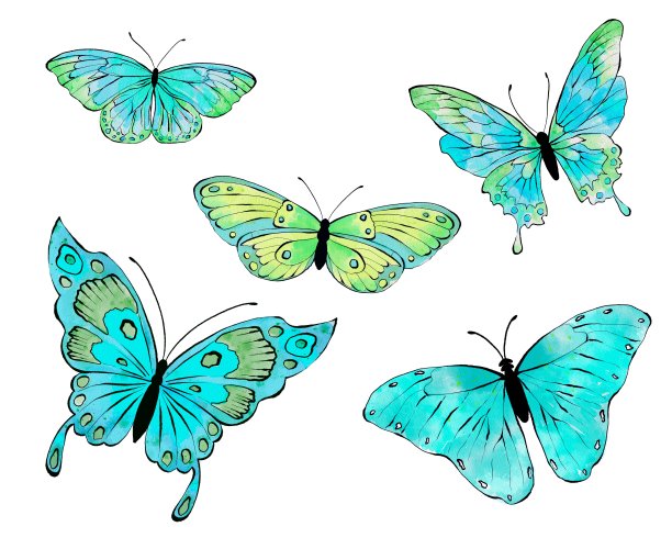 水彩画蓝蝴蝶。手绘插图，孤立在白色背景上。图片下载