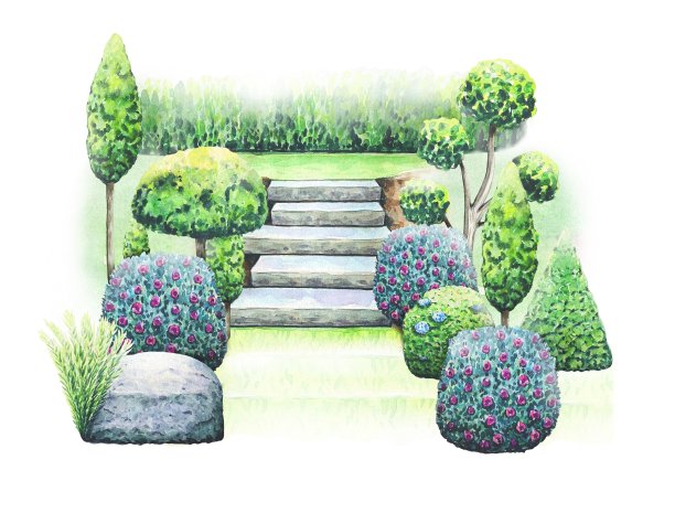 手绘水彩景观插图与楼梯，绿色的灌木丛图片下载