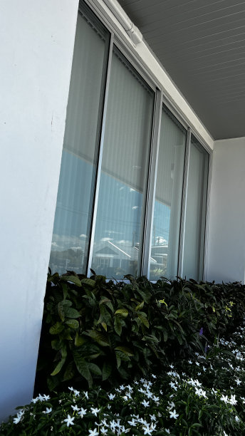 带树的现代办公室图片下载