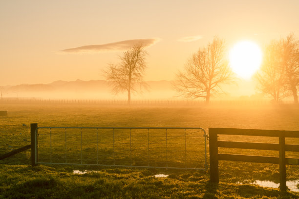 清晨的日出伴随着低飞的雾。图片下载