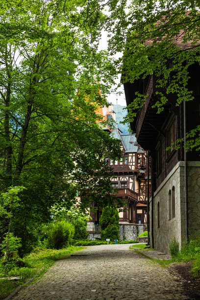 在罗马尼亚锡纳亚的佩列洛城堡遗址上的风景图片下载