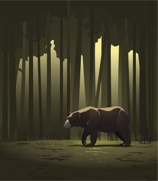 森林里的熊图片下载