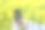 一名男性农艺师手持手机拍摄开花油菜籽的特写镜头。收获的检查。现代农业技术。图片下载