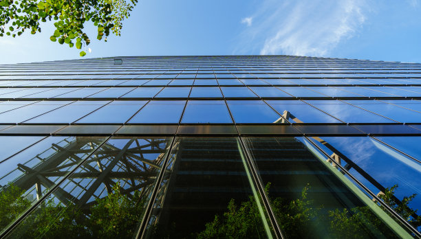 透过树木向上眺望办公楼的现代玻璃立面。图片下载