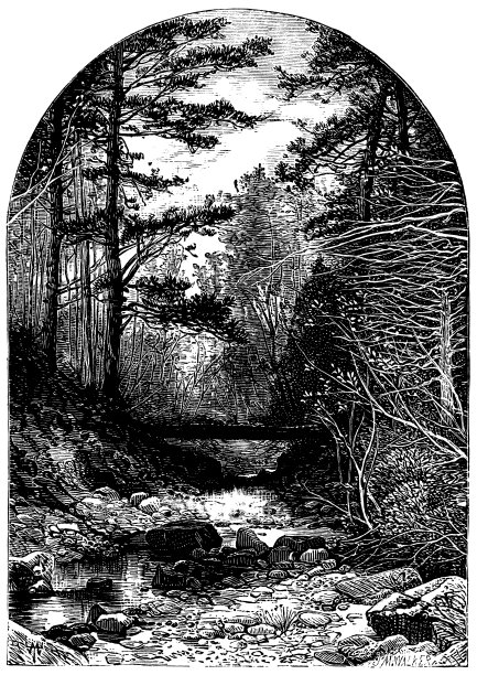 中部州历史城镇的古董插图:斯克内克塔迪，联合学院小溪图片下载