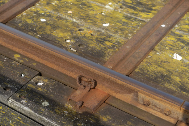 绍森德图片下载