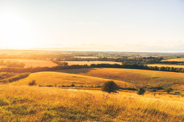 Pitstone hill农田农田，英国白金汉郡图片下载