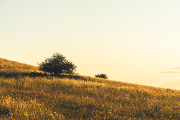 Pitstone hill农田农田，英国白金汉郡图片下载