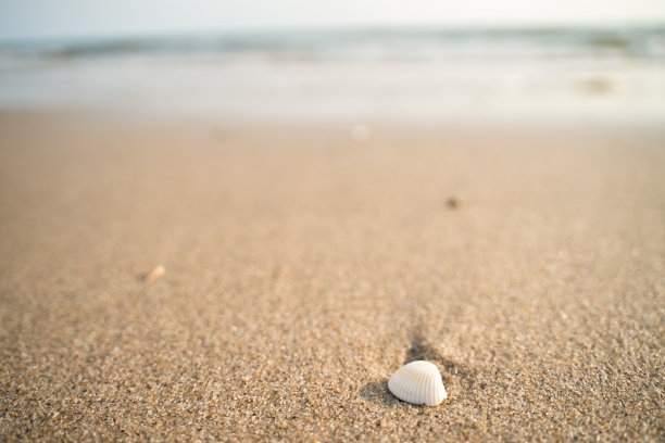 沿海的景色图片下载