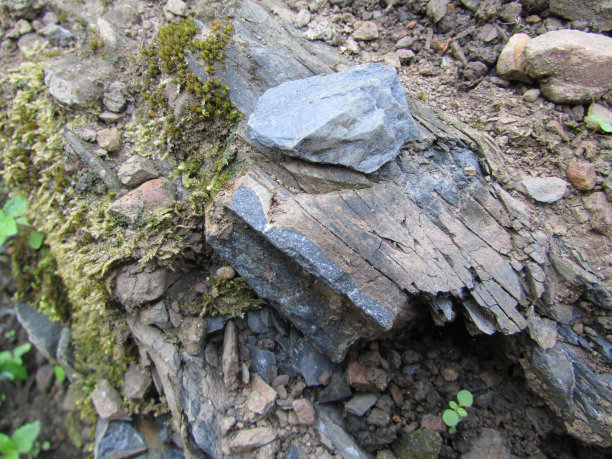 泰国北部清岛国家公园图片下载