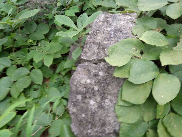 巨石，石头，岩石形状图片下载