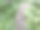 巨石，石头，岩石形状图片下载
