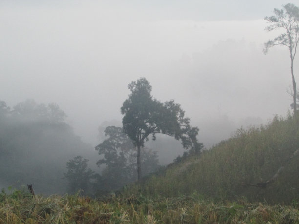 泰国北部清岛国家公园图片下载