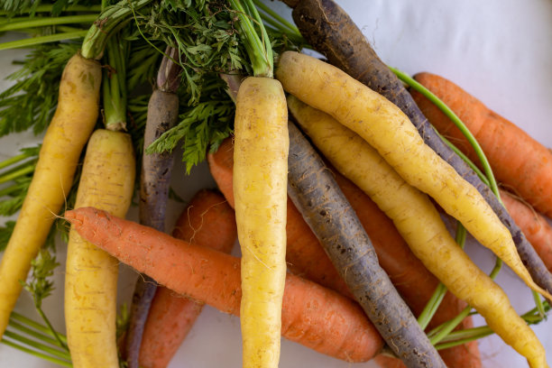 彩色胡萝卜图片下载