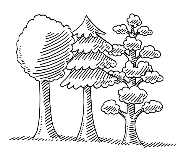 各种树木画组图片下载