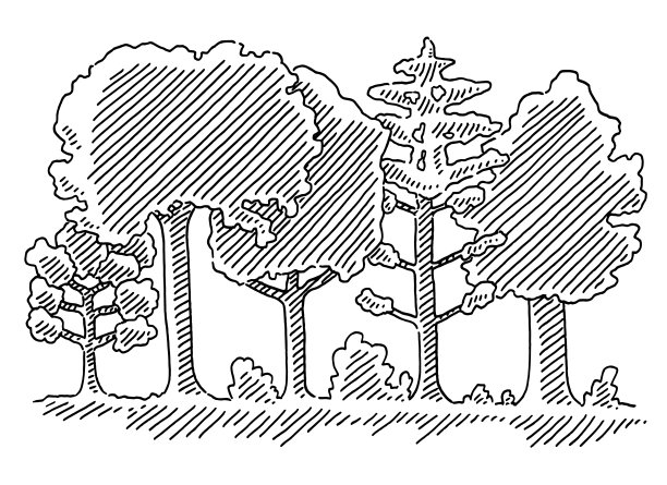 混交林概念图图片下载