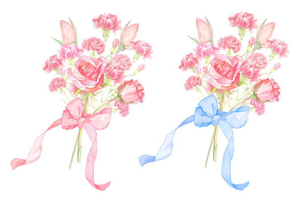 一束美丽的康乃馨水彩画图片下载