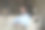 幸福的年轻自由职业者，企业家的家庭肖像图片下载