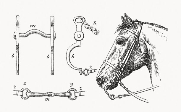 马缰的组成部分，木刻，1893年出版图片下载