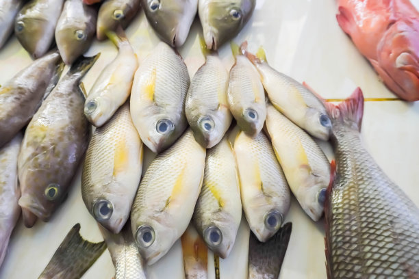 在印尼廖内群岛的塔伦帕，一个传统的鱼市场出售各种新鲜的海鱼图片下载