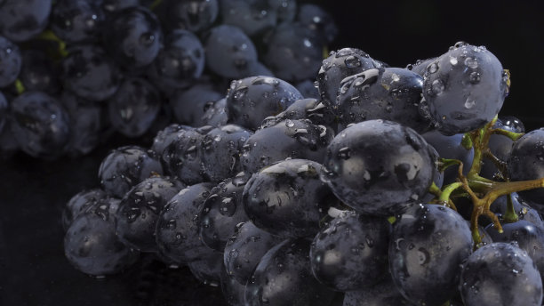 新鲜黑葡萄的细节与水滴，特写图片下载