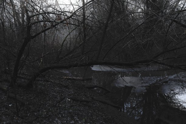 河在黑暗阴沉的超现实森林图片下载
