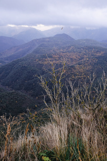 仲秋时节，西班牙山间山谷的美丽景色，带有枯叶季节特有的灰色和棕色图片下载