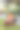 一位迷人的年轻女子正在家里用笔记本电脑工作。幸福生活写真。全身，宠物护理。夏天，开朗的红发女人和她的狗在房子的院子里放松。图片下载