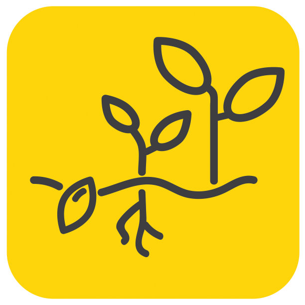 农场和农业植物生长平面简单的轮廓线艺术设计图标图片下载