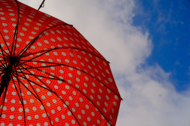 色彩鲜艳的圆点伞图片下载